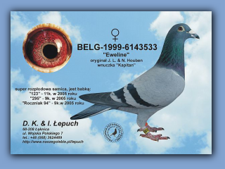 belg-1999-6143533-h.jpg