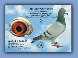 nl-2007-1131983-h.jpg